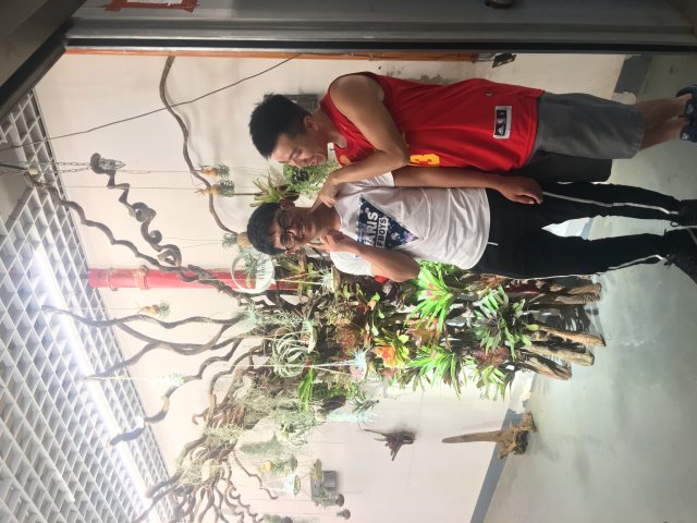 2017雲彩之旅